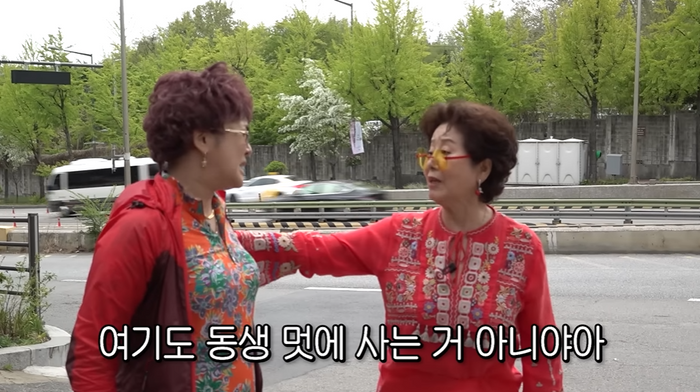 유튜브 시대, 연예인의 생존 전략: 차별화만이 살길이다!