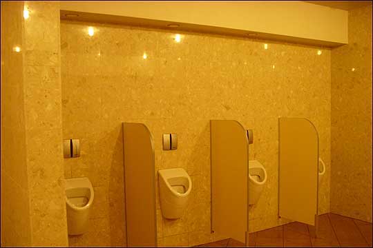 스웨덴 주요 도시들에는 깨끗한 공중 화장실들을 간간히 찾아볼 수 있다. 하지만 90% 이상이 유료다. 그리고 우리나라에서 처럼 거의 모든 대형 건물들의 화장실을 자유롭게 사용할 수도 없다. ⓒ이석원