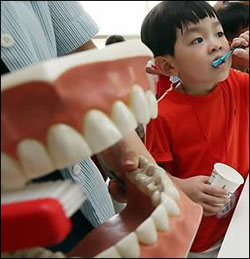 6월 9일 치아의 날을 맞아 '올바른 칫솔질'이 네티즌들 사이에서 화제가 되고 있다.(자료사진)ⓒ연합뉴스 