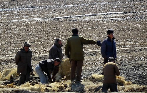 중국과 접경한 북한 황금평에서 영농 준비를 하는 북한 농민들의 모습.ⓒ연합뉴스