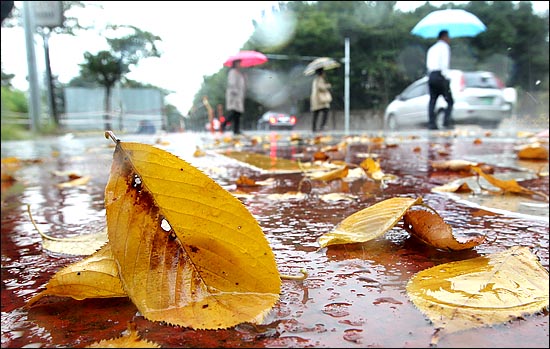 가을을 재촉하는 비가 내리고 있다. ⓒ데일리안 박항구 기자