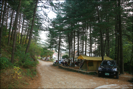포천 유식물원의 숲 속에 마련된 캠핑장 ⓒ 문일식