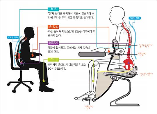 바르게 앉는 자세는 디스크 병 예방에서 가장 중요하다. 사진출처 : 이상호 외 공저 '척추 디스크 환자를 위한 바른 자세와 운동