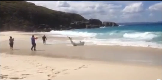 맨손 낚시로 연어를 잡으려던 남성이 상어를 잡아 올려 화제가 되고 있다. 유투브 영상 화면 캡처.