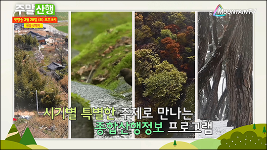 ‘주말산행’ 예고편 캡처. ⓒ 마운틴TV