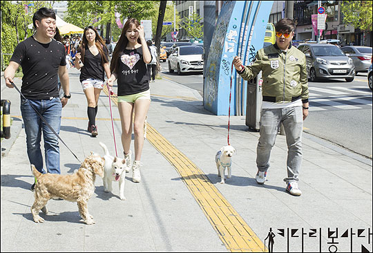 키다리봉사단과 함께 유기견 봉사활동에 나선 모델 김세라가 유기견들을 산책시키며 활짝 웃고 있다. ⓒ키다리봉사단/김동현 포토그래퍼