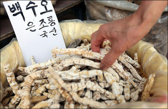  26일 서울시내 한 재래시장에서 상인이 백수오를 정리하고 있다. 식품의약품안전처의 이 날 발표에 따르면 시중에 유통되는 백수오 제품 가운데 이엽우피소가 검출되지 않은 '진짜' 백수오 제품은 5%에 불과한 것으로 나타났다.ⓒ연합뉴스