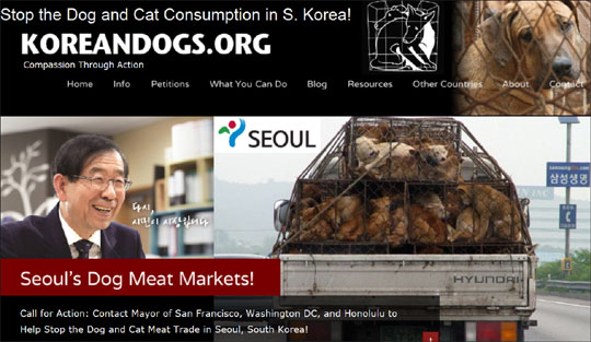 13일 뉴욕에 위치한 한국 뉴욕총영사관 앞에서 '한국의 개고기 문화 중단'을 요구하는 시위가 벌어졌다. 사진은 '뉴욕시 동물연대' 홈페이지 캡처화면