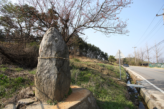 대전 비룡동 고갯마을에 세운 선돌ⓒ최진연 기자