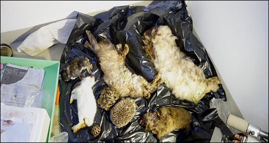 경남 창원의 한 폐업 동물원에서 멸종위기종을 포함한 동물의 사체가 무더기로 발견됐다. ⓒ동물자유연대