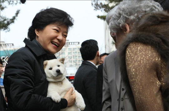 박근혜 대통령이 삼성동 주민들이 선물한 진돗개를 안아들고 웃음을 짓고있다. 사진은 청와대 페이스북 캡처화면. 