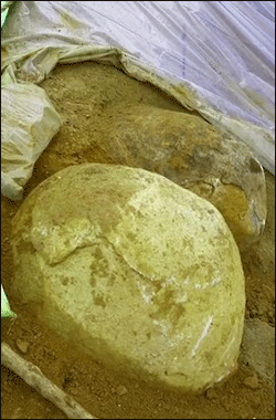 고(故) 김영삼 전 대통령이 안장될 서울 동작구 국립서울현충원 묘역에서 25일 발견된 커다란 알 모양의 돌덩이.ⓒ연합뉴스