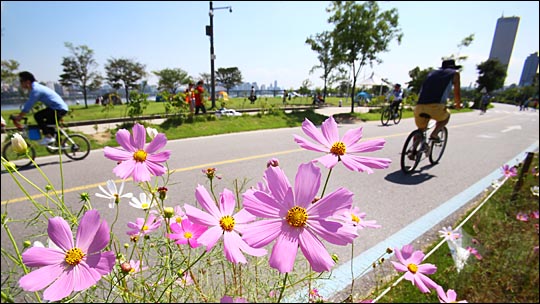 선선한 가을 날씨가 찾아오면서 자전거 타기 등 유산소 운동을 하려는 사람들이 다시 늘어나고 있다. (자료사진) ⓒ데일리안 홍효식 기자
