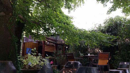 기청산식물원에 있는 ‘풍향수 그늘아래’ 카페.ⓒ조남대