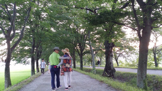 천연기념물 366호인 담양 ‘관방제림’ 을 걷고 있는 작가 부부.ⓒ조남대