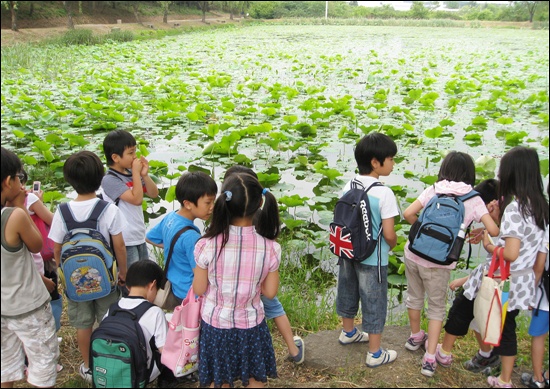 서울시교육청 소속 과학전시관은 10일부터 25일까지 서울시교육청 관내 초등학교를 대상으로 나비알, 케일 등의 생물 학습 자료 10여종을 공급한다고 밝혔다. (자료사진)ⓒ데일리안
