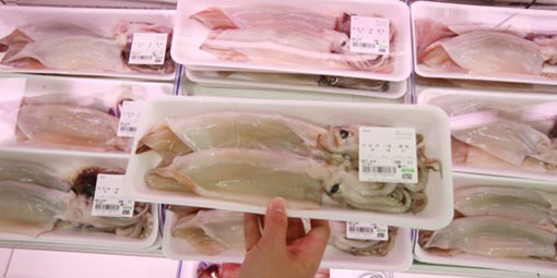 어획량 급감으로 오징어 가격이 고공행진 증이다. 한 대형마트 오징어 판매대. ⓒ연합뉴스