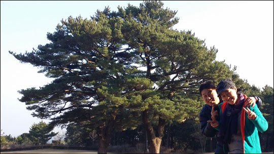 상효원에 350년 된 2그루 소나무가 두 손을 마주잡고 있는 모습을 하고 있어 ‘부부송’이라고 불린단다.ⓒ조남대