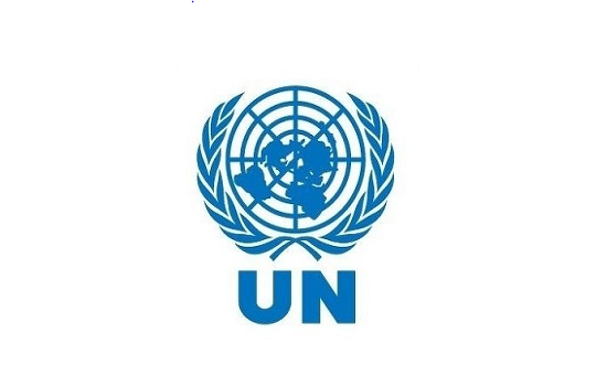 유엔 CI. 유엔 홈페이지캡쳐.