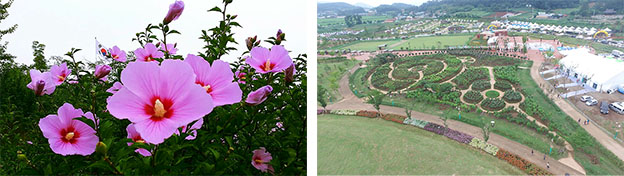 제4회 나라꽃 무궁화 명소 평가에서 우수상을 수상한 서산 해미읍성(좌측)과 장려상으로 선정된 무안군 회산백련지공원(우측) ⓒ산림청