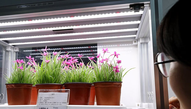'2017 귀농귀촌 청년창업 박람회' 서울시 부스에서 관람객이 LED로 키우는 식물을 살펴보고 있다. ⓒ연합뉴스