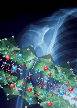 페로브스카이트 X-ray 디텍터 연구 그래픽.ⓒ삼성전자