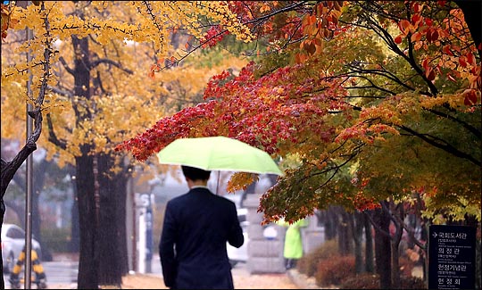 10일 오후 서울과 경기도를 비롯한 중부 일부 지방에 비가 내리는 가운데 서울 여의도 국회의사당 경내에 곱게 단풍이 물든 나무들 사이로 가을을 재촉하는 가을비가 내리고 있다. ⓒ데일리안 박항구 기자 