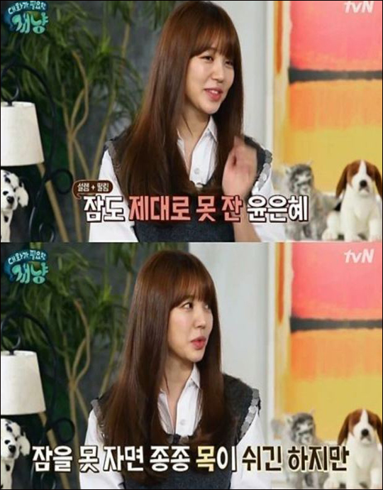 연기자 윤은혜가 tvN '대화가 필요한 개냥'에 출연해 근황을 전했다.tvN '대화가 필요한 개냥' 화면 캡처