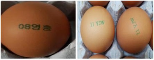 경기 포천과 충남 천안의 산란계 농가에서 생산된 계란에서 살충제 성분이 검출됐다. 살충제 검출 농가 난각코드.ⓒ연합뉴스