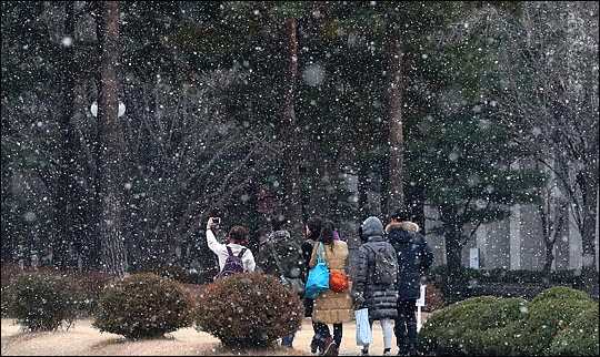 서울 여의도 국회의사당 경내에 눈이 내리고 있다.ⓒ데일리안