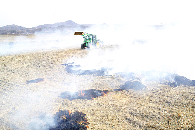 본격적인 영농철을 앞두고 관행적으로 이뤄지는 논밭두렁 태우기는 산불로 이어질 가능성이 높다. ⓒ농진청