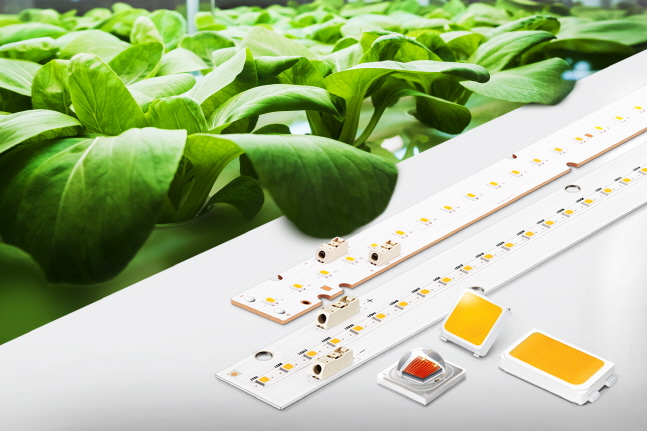 삼성전자가 출시한 '식물생장용 LED 패키지 및 모듈' 제품 이미지.ⓒ삼성전자