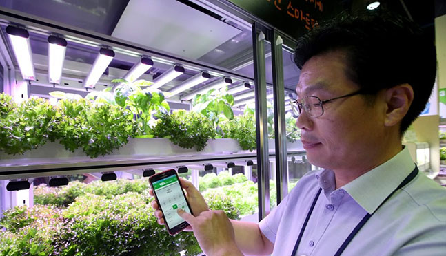 지난해 코엑스에서 열린 농업기술박람회에서 관계자가 ICT 빌트인 스마트팜에 대해 설명하고 있다. ⓒ연합뉴스 자료사진
