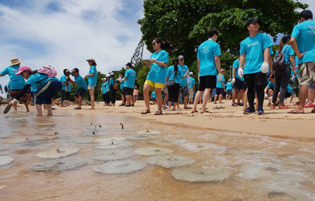 포스코 동남아대표법인(POSCO-SouthAsia), 스테인리스생산법인(POSCO-Thainox) 등 임직원들이 글로벌 볼론티어 위크 기간 동안 태국 파타야에서 산호초 심기 봉사활동에 참여하고 있다.ⓒ포스코