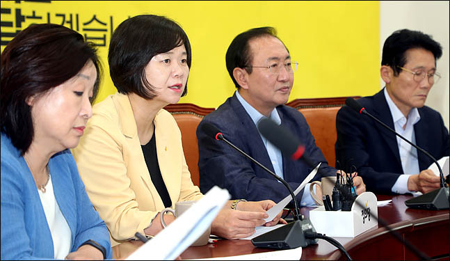 이정미 정의당 대표가 10일 오전 국회에서 열린 의원총회에서 이야기하고 있다. ⓒ데일리안 박항구 기자