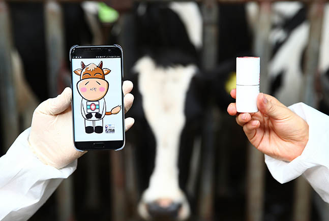 애플리케이션(왼쪽)과 소 생체 정보 수집 장치 ⓒ농진청