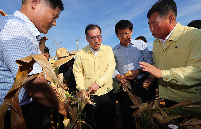 무안 옥수수 재배지 현장을 찾은 이개호 농식품부 장관 ⓒ농식품부