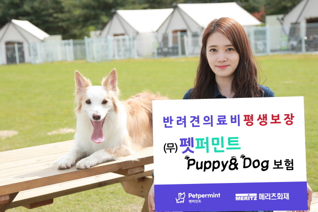 메리츠화재 모델이 '(무)펫퍼민트 Puppy&Dog보험' 출시 소식을 전하고 있다.ⓒ메리츠화재