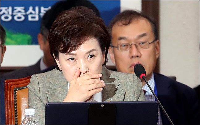 김현미 국토교통부 장관(자료사진)ⓒ데일리안 박항구 기자 
