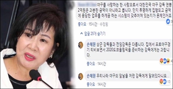 손혜원 의원, 선동열 연봉 질문 논란. ⓒ 손혜원 의원 페이스북