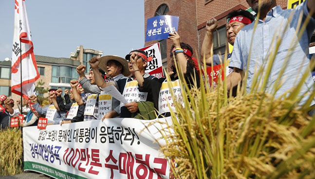 수확기 쌀 대책 촉구 기자회견에서 전국쌀생산자협회, 전국농민회총연맹 등이 '정부양곡 100만톤 즉시 매입, 쌀값 1kg당 3천 보장' 등을 요구하고 있다. ⓒ연합뉴스