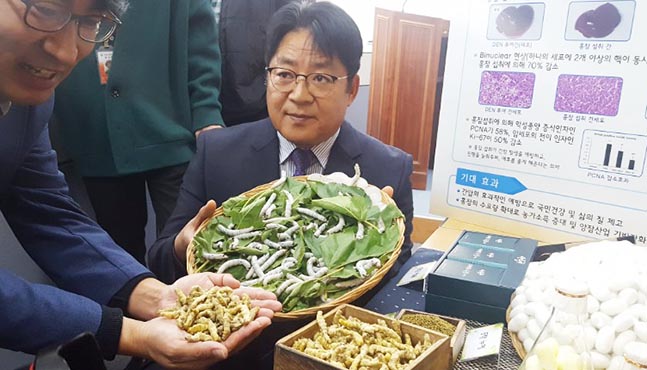 간질환 예방의 효능을 밝힌 농진청 관계자가 누에와 '익힌 숙잠'인 홍잠에 대해 설명하고 있다. ⓒ데일리안