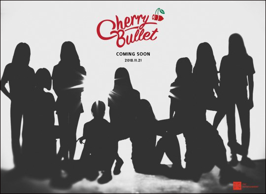 FNC엔터테인먼트가 2019년 10인조 걸그룹 '체리블렛'(Cherry Bullet)을 새롭게 선보인다고 21일 밝혔다.ⓒFNC
