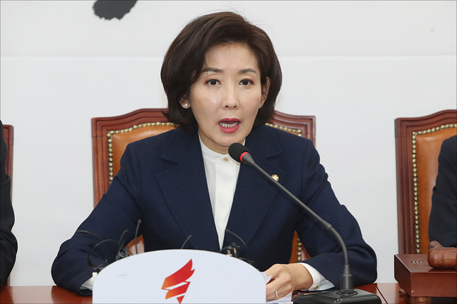나경원 자유한국당 원내대표(자료사진) ⓒ데일리안 박항구 기자