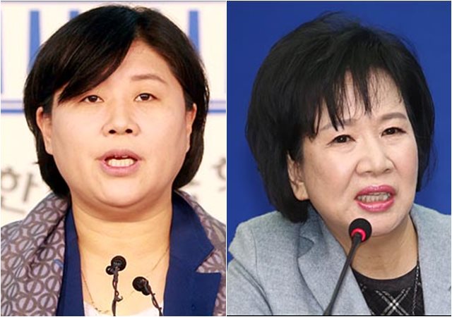 더불어민주당 서영교·손혜원 의원(자료사진) ⓒ데일리안