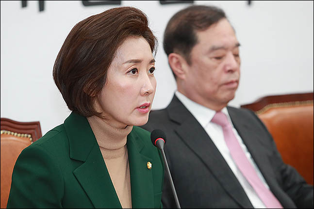 나경원 자유한국당 원내대표(자료사진) ⓒ데일리안 류영주 기자