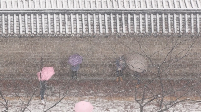 우산을 쓴 시민들이 19일 눈을 맞으며 덕수궁 돌담길을 걷고 있다. ⓒ 연합뉴스 