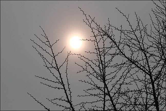 사상 최악의 고농도 미세먼지가 최장 기간 이어지고 있는 지난 3월 6일 오전 서울의 하늘에 미세먼지로 인해 해가 희미하게 보이고 있다.ⓒ데일리안 류영주 기자