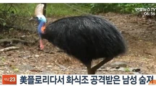 연합뉴스TV 방송 캡쳐.
