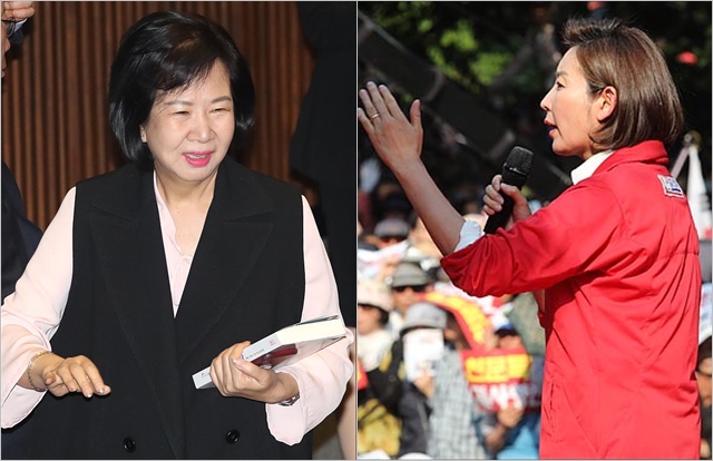 나경원 자유한국당 원내대표(오른쪽)와 손혜원 무소속 의원 ⓒ데일리안